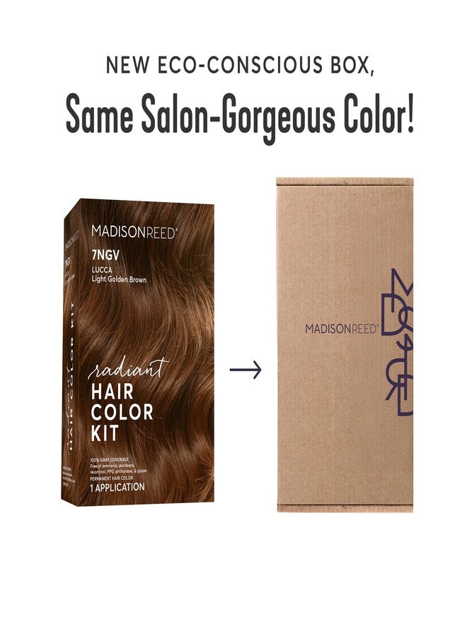 Madison Reed Radiant Hair Color Kit - 7NGV Light Golden Brown (Lucca Brown), Dimensional Gray Hair Blending Permanent Hair Dye, PPD-Free & Ammonia-Free, 1 Pack - Image 2
